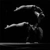 Adagio Duo 108217