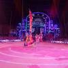 African Acrobats 109753