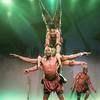 African Acrobats 110276