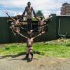 African Acrobats 2159