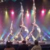 African Acrobats 9699