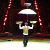 African Acrobats Show 8913