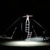 African Solo Acrobat 108516