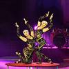 Contortion Duo 8816