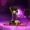 Contortion Duo 9006