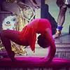 Contortion & Handbalancing Acts 8812