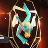 Contortionist 104870