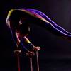 Contortionist 105675