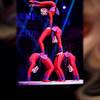 Contortionist 108279