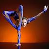 Contortionist 8284