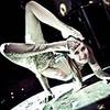 Female Contortion Act 1916