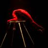 Female Contortionist 110943