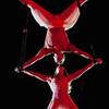 Acrobatic Duo 8932