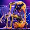 Acrobatic Group 104936