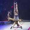 Acrobatic Group 105048