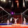 Acrobatic Group 105266