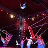 Acrobatic Group 108174