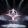 Acrobatic Group 9411
