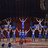 Circus Acrobatic Show