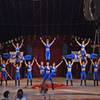 Circus Acrobatic Show