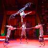Extreme Circus Group 106378
