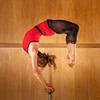 Female Handbalance Act 2041
