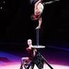 Handstand Artist 6595
