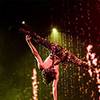 Solo Handstand 105369