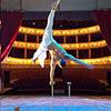 Solo Handstand 106018