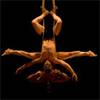 Aerial & Adagio Duo 1057