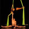 Aerial Couple 1070