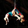 Aerial Couple 7634