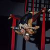 Aerial Duo 10195