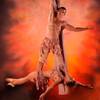 Aerial Duo 1052