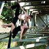 Aerial Duo 106015