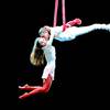 Aerial Duo 106078