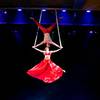 Aerial Duo 106468