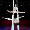 Aerial Duo 1067
