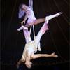 Aerial Duo 1076