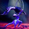 Aerial Duo 107889