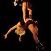 Aerial Duo 1079