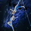 Aerial Duo 108857