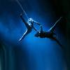 Aerial Duo 109056