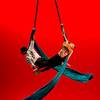 Aerial Duo 109612