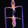 Aerial Duo 110211