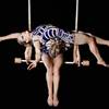 Aerial Duo 110349