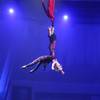 Aerial Duo 110745