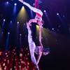 Aerial Duo 110826