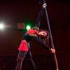 Aerial Duo 110974