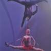 Aerial Duo 111037